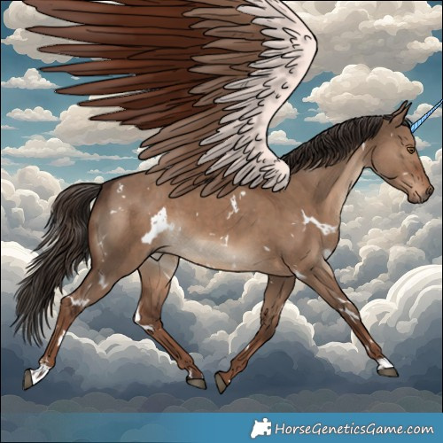 Horse Color:White Spotted Liver Red Dun