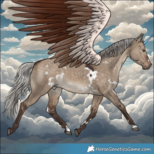Horse Color:White Spotted Silver Brown Dun