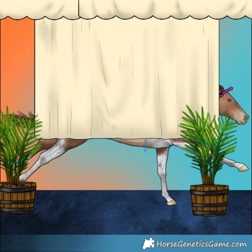 Horse Color:Brown Pearl Tobiano