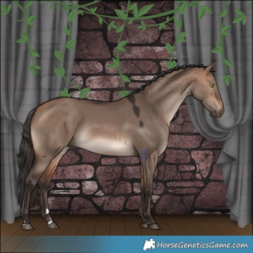 Horse Color:Bay Dun Mushroom Rabicano 