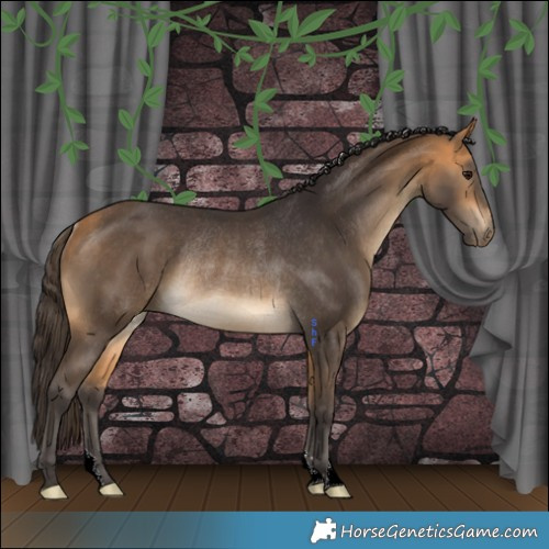 Horse Color:Buckskin Rabicano
