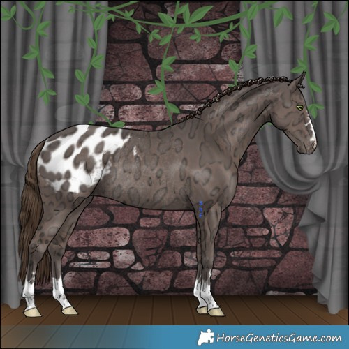 Horse Color:Liver Chestnut Ice Blanket Rabicano