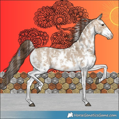 Horse Color:Brown Dun Sabino Varnish