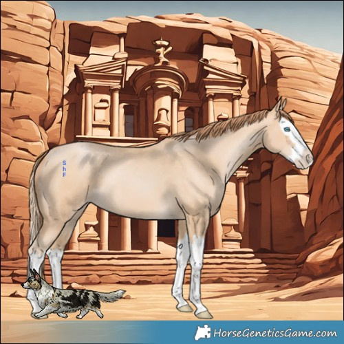 Horse Color:Buckskin Pearl Splash Varnish