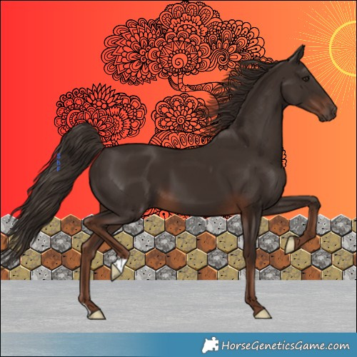 Horse Color:Liver Chestnut 