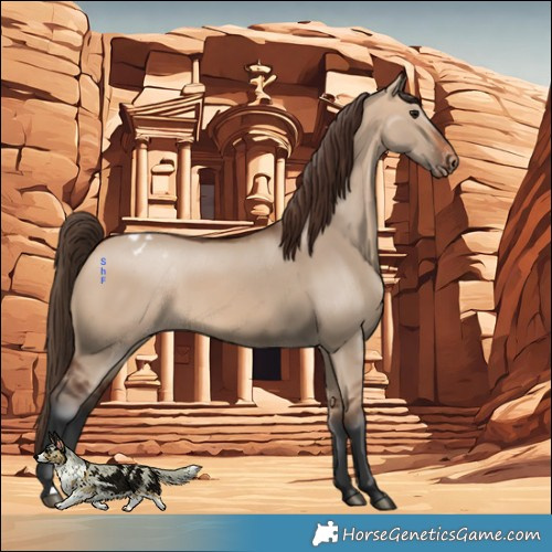 Horse Color:Bay Dun Varnish 