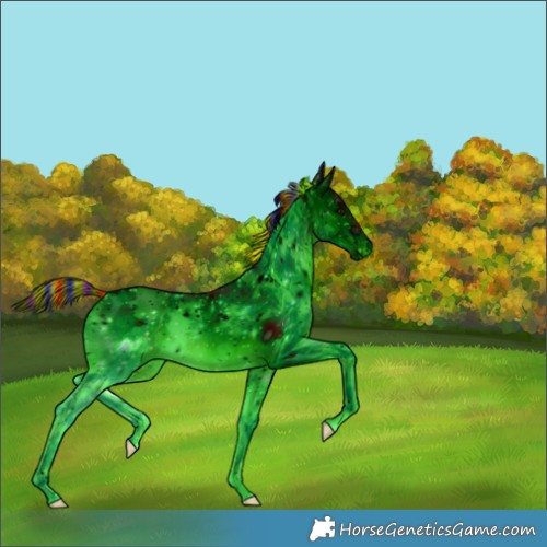 Horse Color:Unknown 