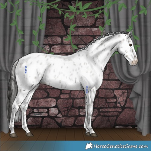 Horse Color:Liver Red Dun Ice Roan Leopard