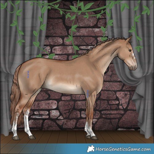Horse Color:Red Dun Sabino 
