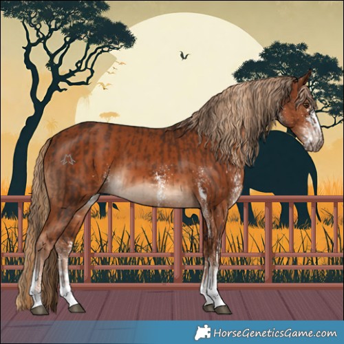 Horse Color:Liver Chestnut Tobiano  and White Spotted Chestnut 