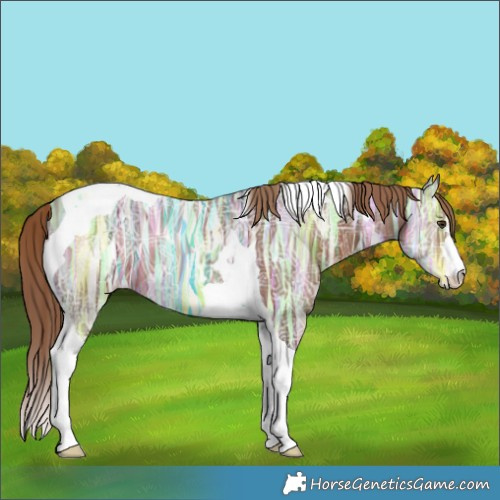 Horse Color:Liver Chestnut Ice Tobiano