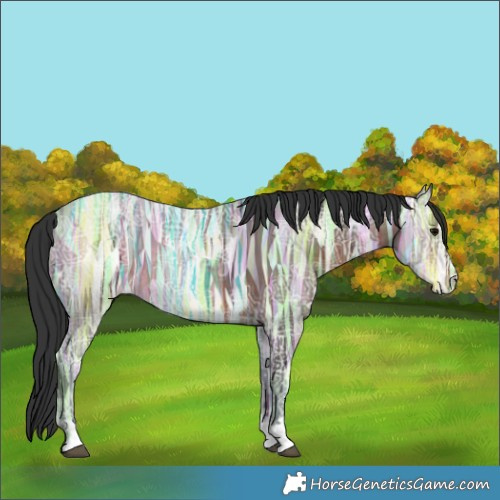 Horse Color:Brown Ice Rabicano