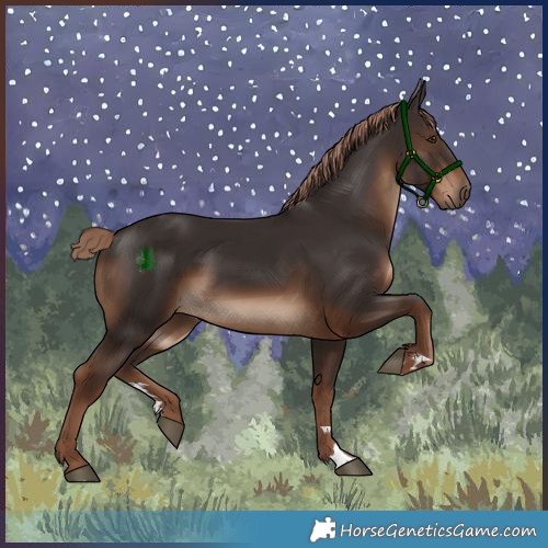 Horse Color:Liver Chestnut Rabicano