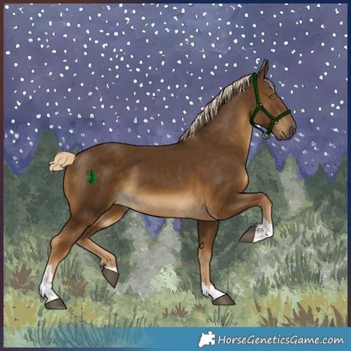 Horse Color:Chocolate Palomino Tobiano