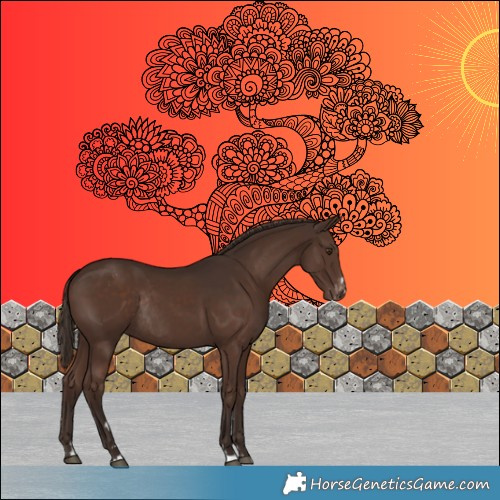 Horse Color:Liver Chestnut Appaloosa Rabicano