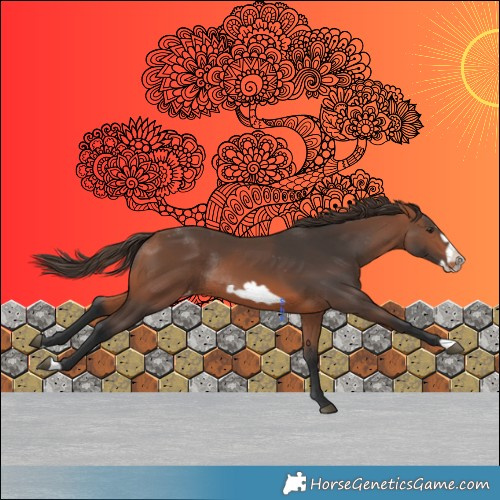 Horse Color:Bay Mushroom Frame Varnish Rabicano 