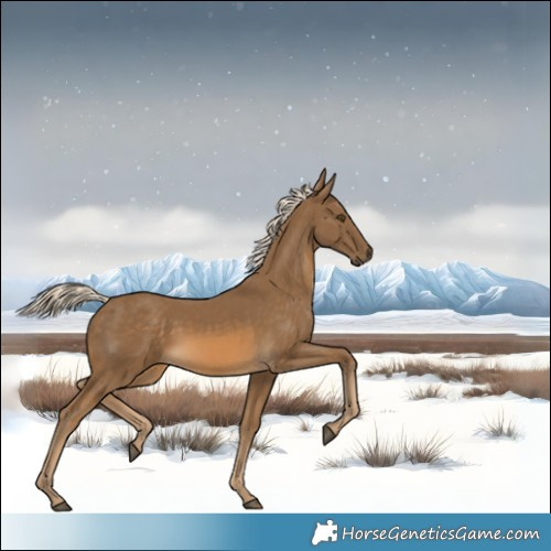 Horse Color:Chocolate Palomino Mushroom Rabicano 