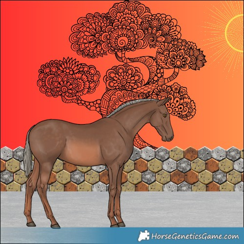 Horse Color:Chestnut Mushroom Rabicano 