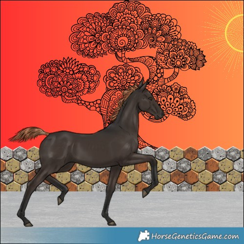 Horse Color:Liver Chestnut Rabicano 