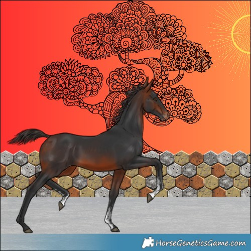 Horse Color:Bay Mushroom Sabino Appaloosa 