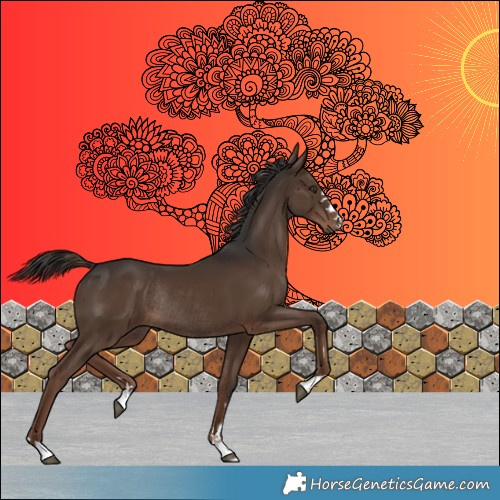 Horse Color:Liver Chestnut Rabicano 