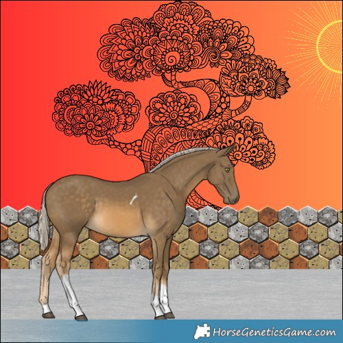 Horse Color:Chocolate Palomino Mushroom Tobiano Rabicano 