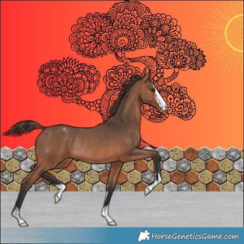 Horse Color:Bay Mushroom Appaloosa Rabicano 