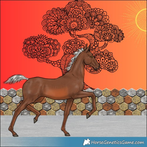 Horse Color:Chestnut Mushroom Rabicano 