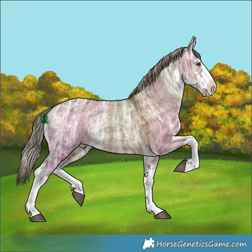 Horse Color:Plaid White Spotted Liver Red Dun Ice