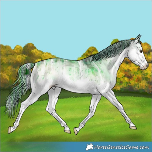 Horse Color:Painted Plaid Liver Red Dun Ice Onyx Splash Rabicano Brindle