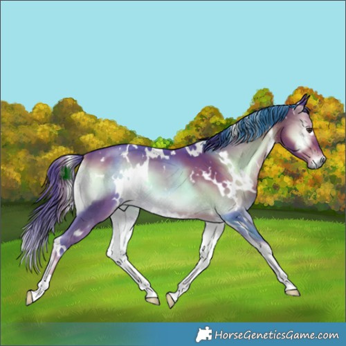 Horse Color:Watercolor White Spotted Liver Red Onyx 