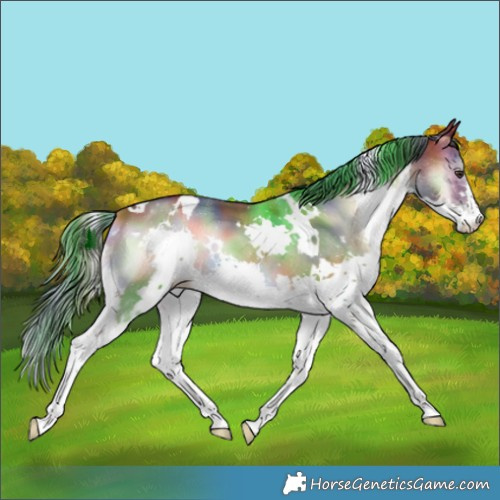 Horse Color:Nacre White Spotted Liver Red Onyx Splash