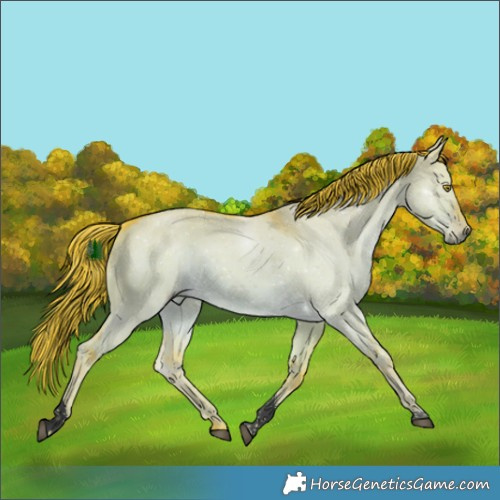 Horse Color:Void Watercolor Liver Red Dun Tobiano 