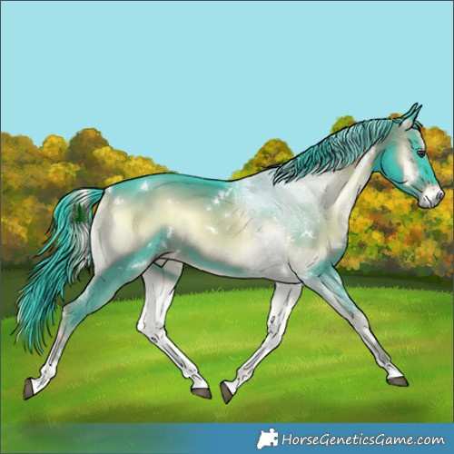 Horse Color:Watercolor White Spotted Liver Red Onyx Rabicano 