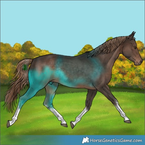 Horse Color:White Spotted Liver Chestnut Tobiano Rabicano 