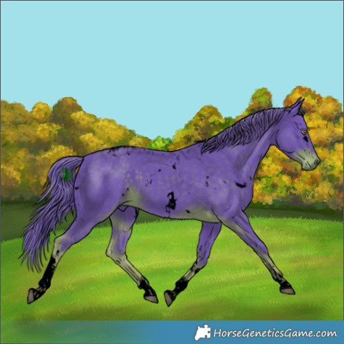 Horse Color:Void Watercolor White Spotted Liver Chestnut Tobiano 