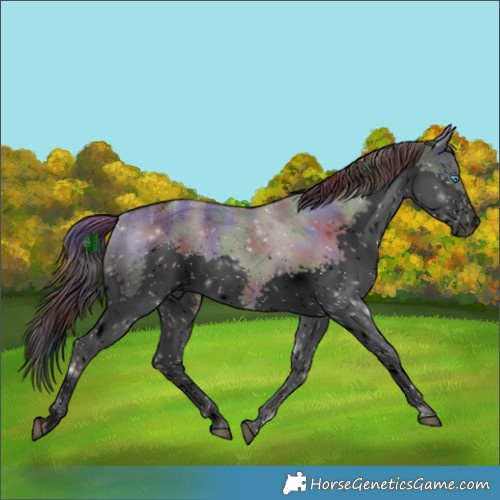 Horse Color:Void Nacre White Spotted Liver Red Dun Splash Tobiano Rabicano