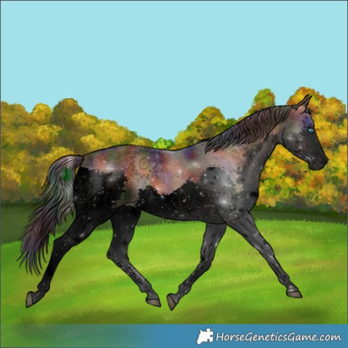 Horse Color:Void Nacre White Spotted Liver Red Onyx Splash Tobiano Rabicano 