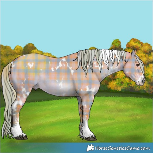Horse Color:Watercolor Plaid  White Spotted Liver Red Dun Sabino Rabicano 