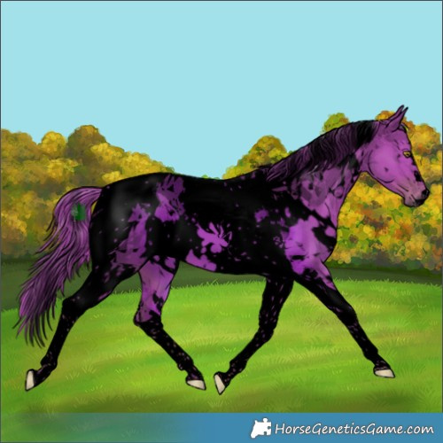 Horse Color:Void Watercolor White Spotted Liver Chestnut Tobiano 