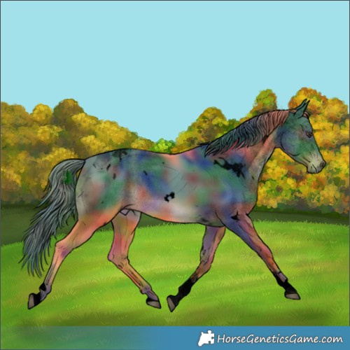Horse Color:Void Nacre Watercolor White Spotted Liver Chestnut Tobiano 