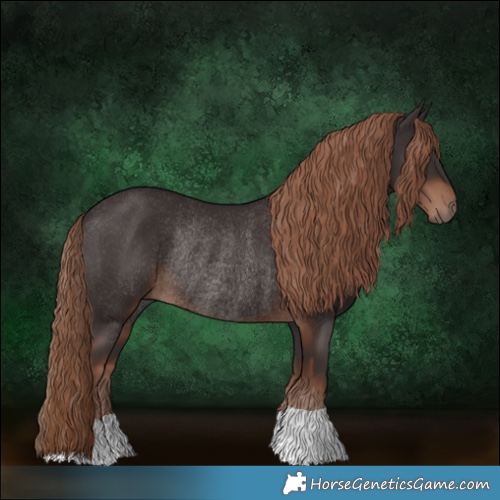 Horse Color:Liver Chestnut Rabicano 