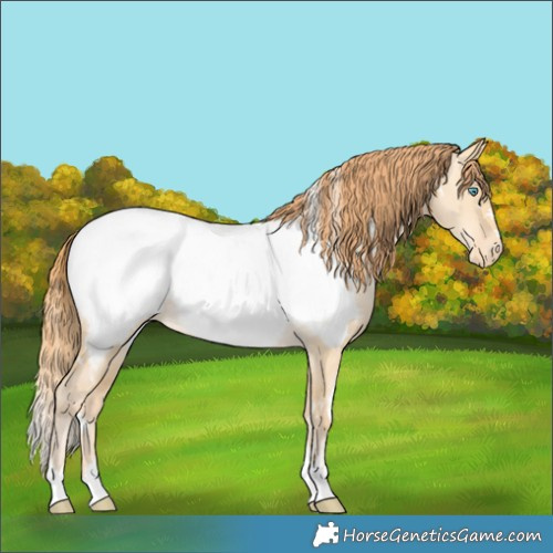 Horse Color:White Spotted Buckskin Pearl Dun Near Fewspot 
