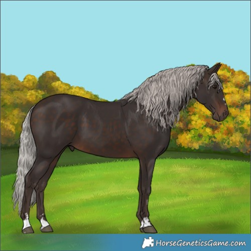 Horse Color:Silver Brown 