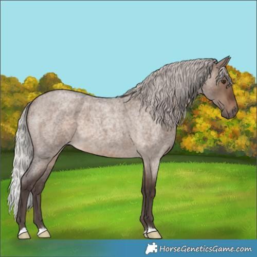 Horse Color:Silver Brown Roan Dun 