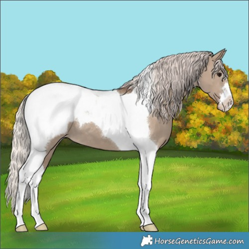 Horse Color:Silver Grullo Tobiano Snowcap 