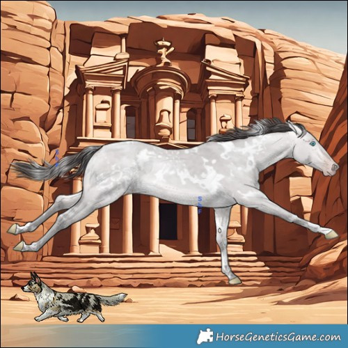 Horse Color:Platinum White Spotted Amber Cream Champagne Dun