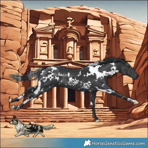 Horse Color:Platinum White Spotted Black 