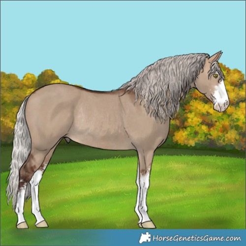 Horse Color:Silver Brown Dun Sabino Rabicano 