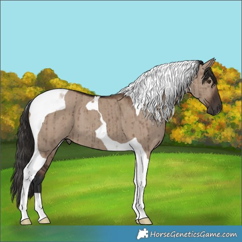 Horse Color:Liver Red Dun Tobiano Brindle 